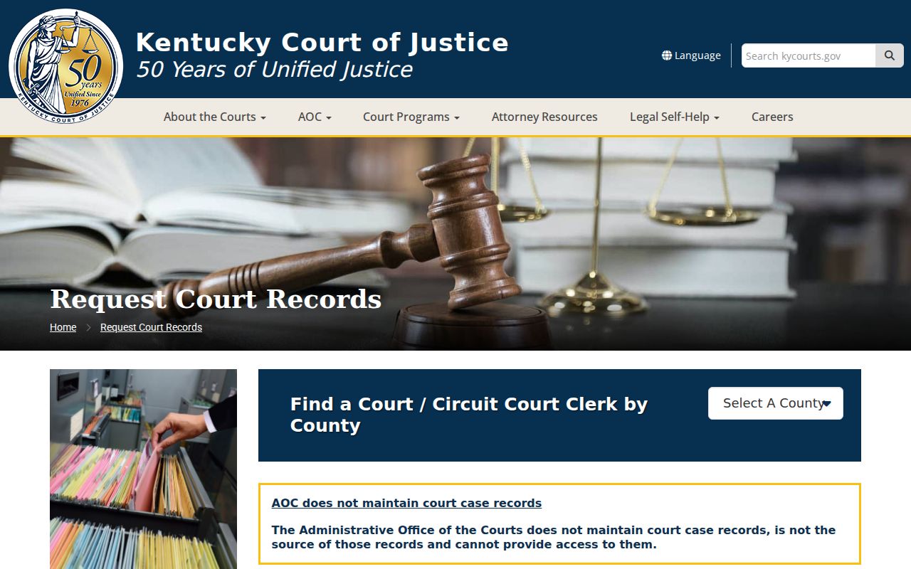 Allen County criminal court case record request instructions